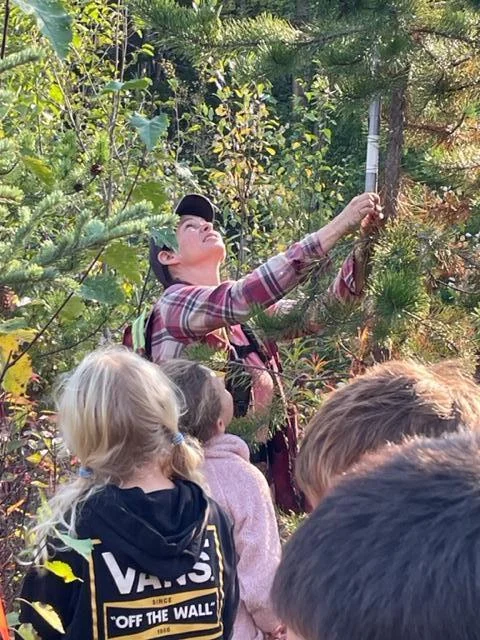 Forest Education
